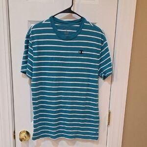 Champion Men's Aqua Blue Striped T-Shirt